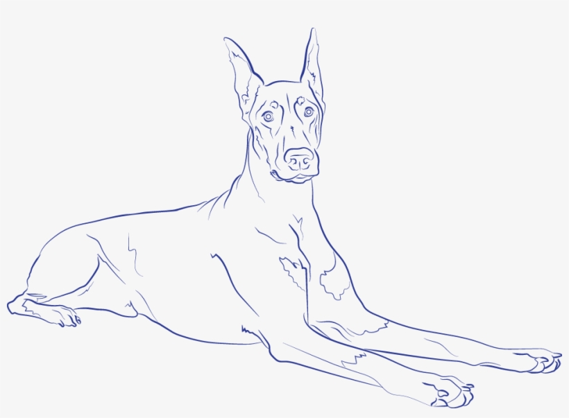 Great Dane, transparent png download
