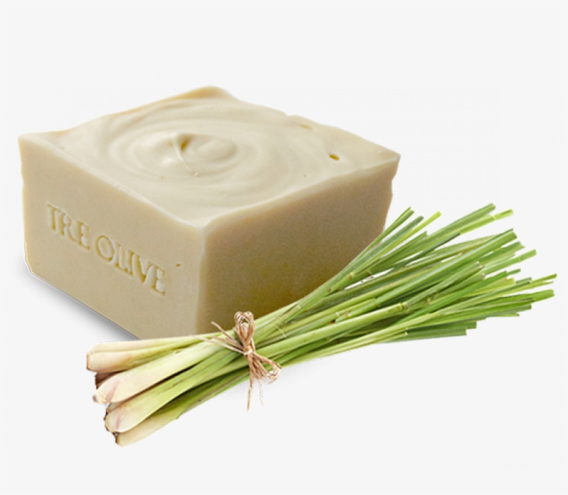 Lemongrass1-d4ddd77e - Welsh Onion, transparent png download