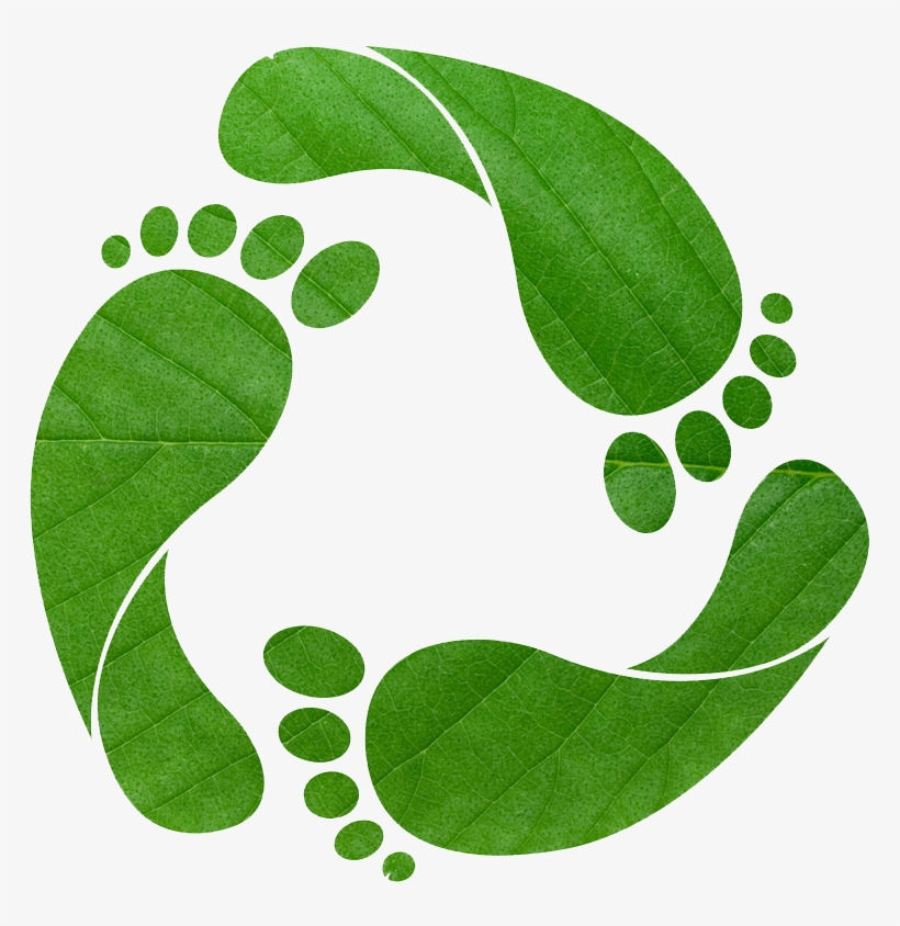 If Everyone Lived My Lifestyle We Would Need - Less Carbon Footprint, transparent png download