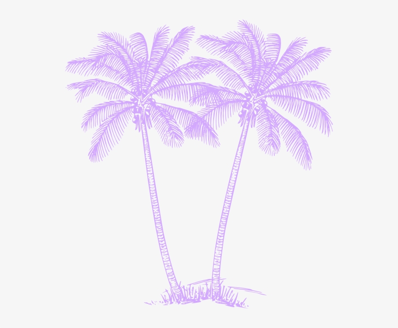 Attalea Speciosa, transparent png download