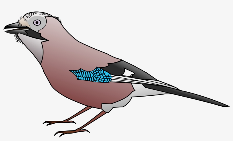 Clipart Freeuse Download Big Image Png - Mountain Bluebird, transparent png download