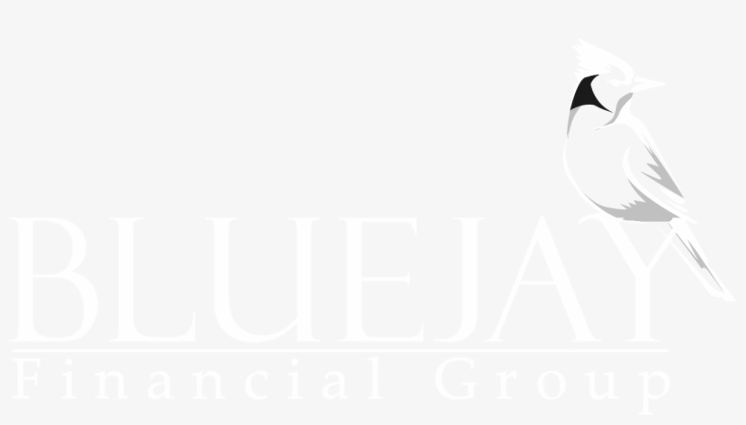Blue Jay Financial Group - Gull, transparent png download