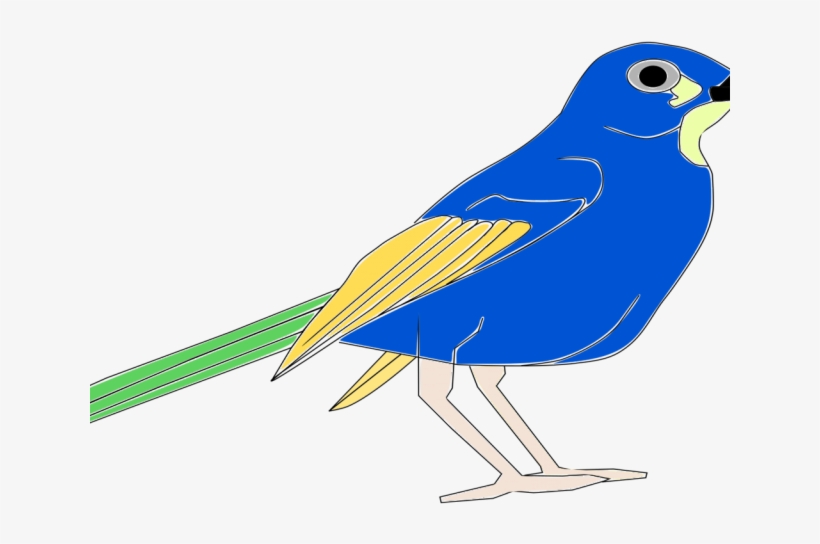 Blue Jay Clipart Drawn - Clip Art, transparent png download