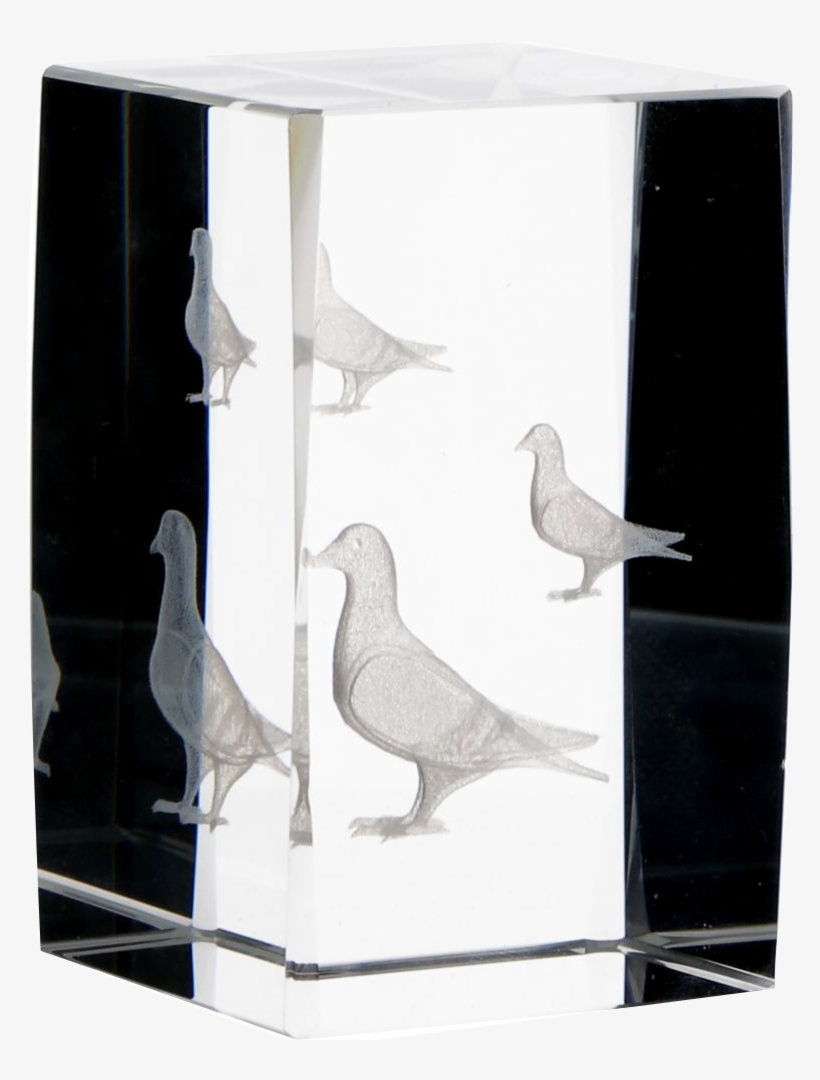 Beautiful, Glass Trophy With A Simple Composition That - Trophy, transparent png download