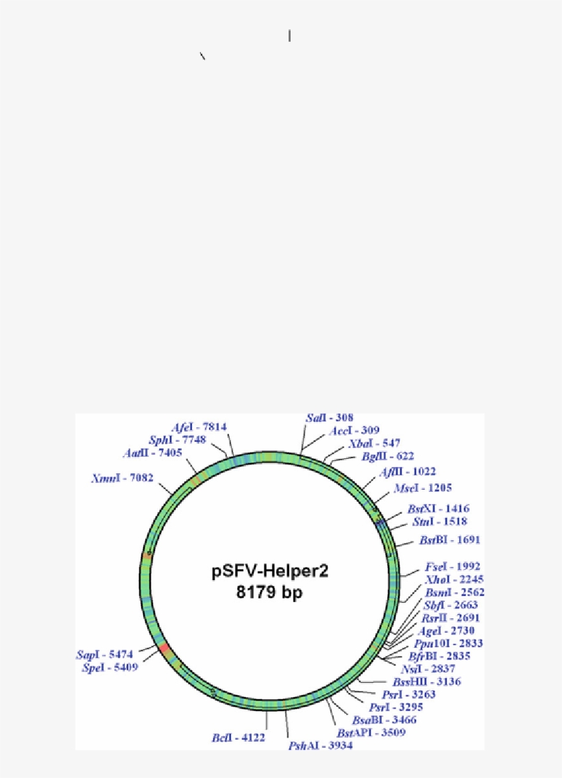 Viral Vector Approaches In Neurobiology And Brain Diseases - Circle, transparent png download