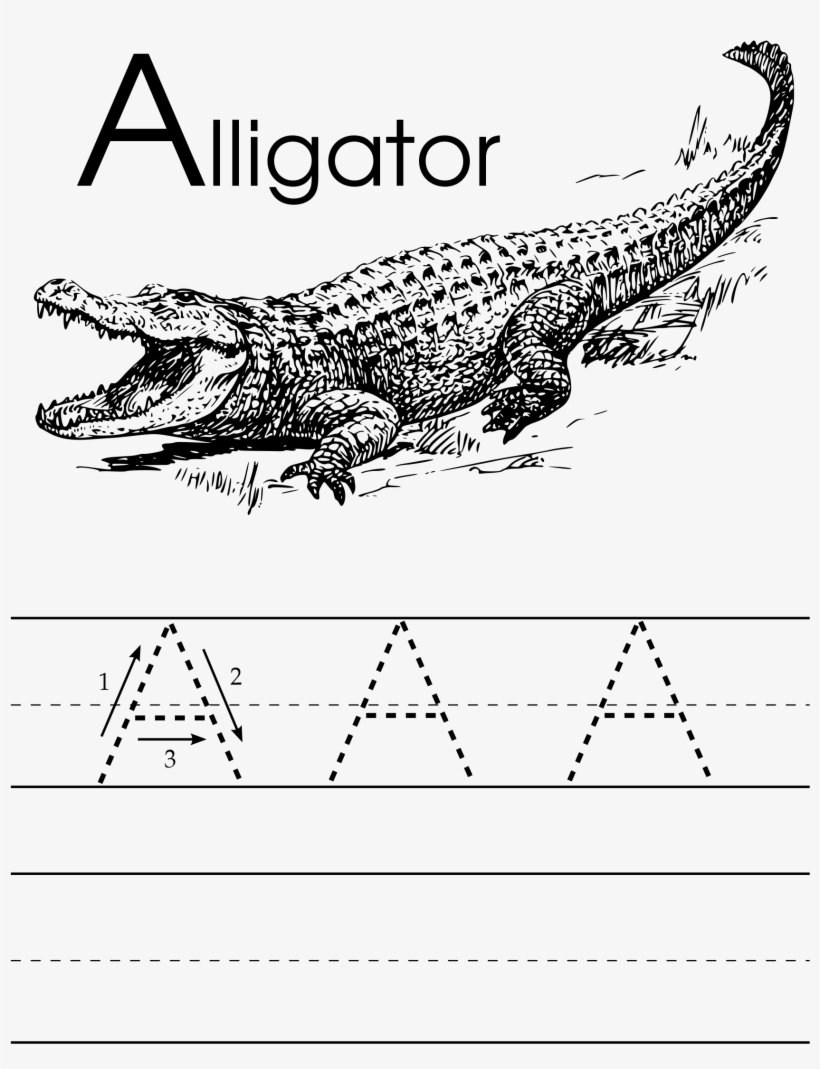 Open - Alligator Clip Art, transparent png download