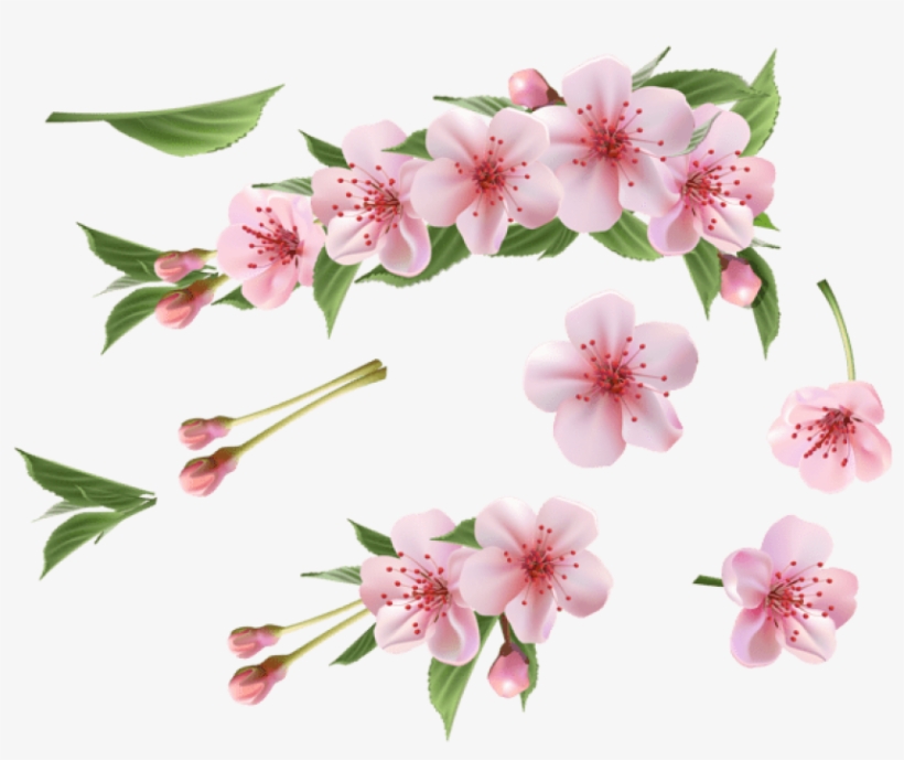 Download Spring Branch Pink Elements Png Images Background - Spring Pink Flowers Png, transparent png download