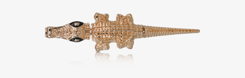 Aligator - American Alligator, transparent png download