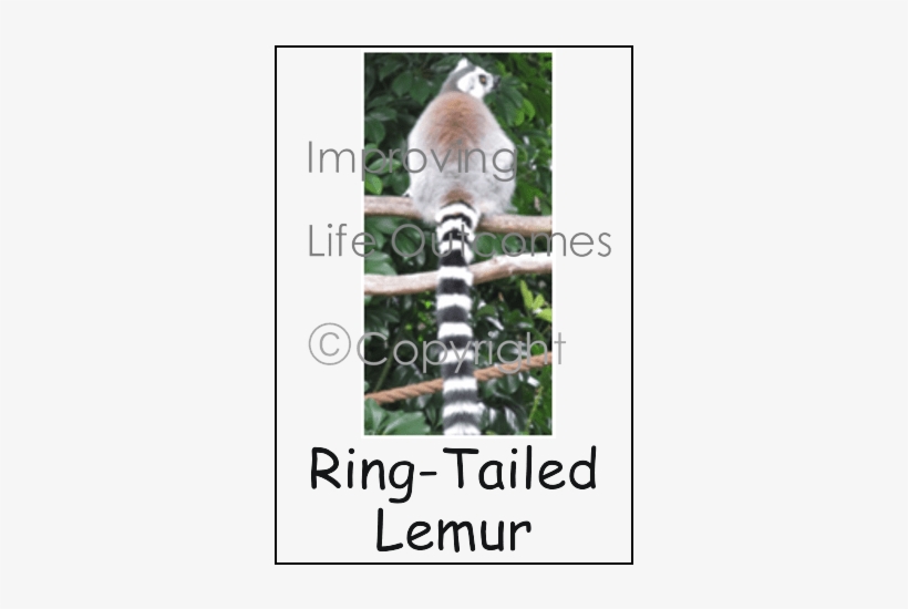 Tree, transparent png download