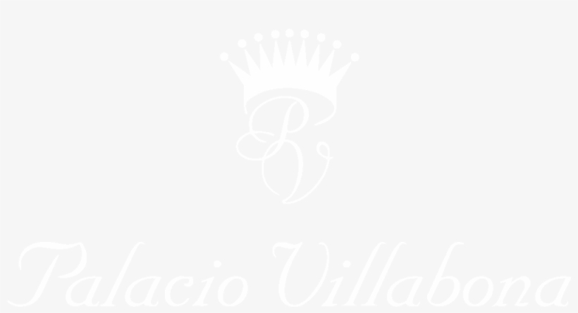 En - Spotify White Logo Png, transparent png download