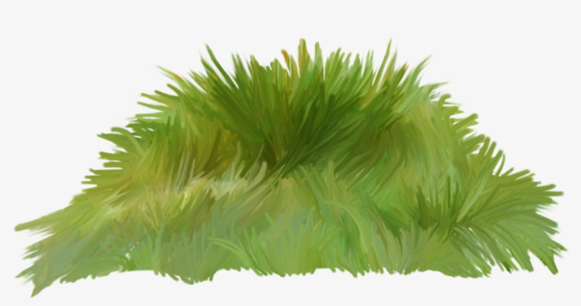 Фотки Grama, Clip Art, Coloração, Doodles, Selos, Folhas, - Palm Tree, transparent png download