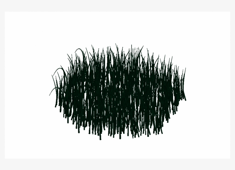 Grass, transparent png download