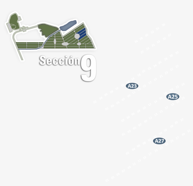 Disponibilidad - Skateboard, transparent png download