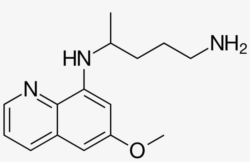 Maltese Cross Babeiosis - 2 Acetamidophenol, transparent png download