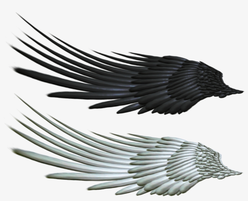 Download Amazing High-quality Latest Png Images Transparent - Angel Wings On Horse, transparent png download