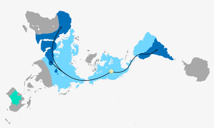 Global Camelid Distribution And Migration - Camelus Bactrianus Distribution Map, transparent png download