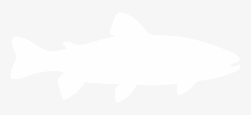 Trout - Portable Network Graphics, transparent png download