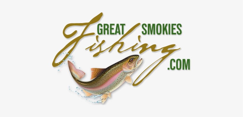 Guide To Bass, Trout, Fly - Brown Trout, transparent png download