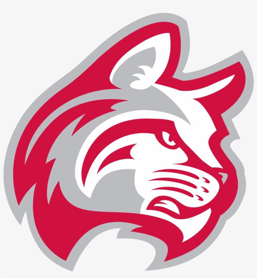 2016 Nccaa Indoor Track And Field National Championships - Indiana Wesleyan University Wildcat, transparent png download