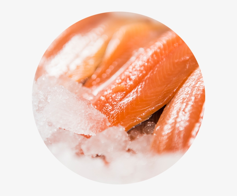 Fresh Trout Circle - Trafalgar Fisheries, transparent png download
