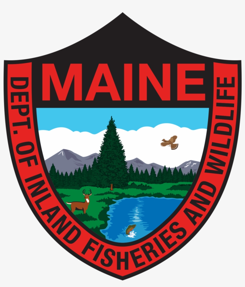 Mdifw - Maine Inland Fisheries And Wildlife, transparent png download