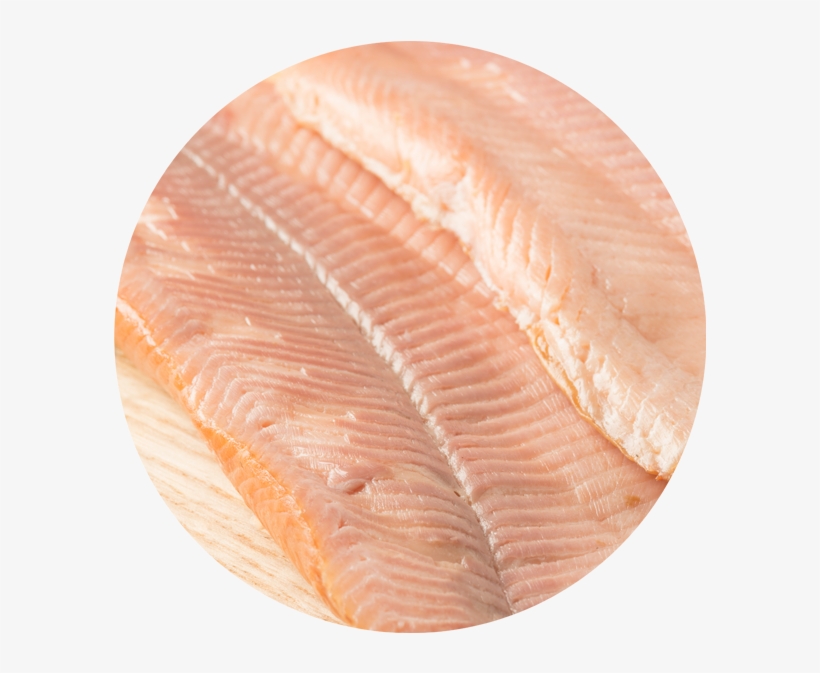Kiln Trout Circle2 - Kiln, transparent png download