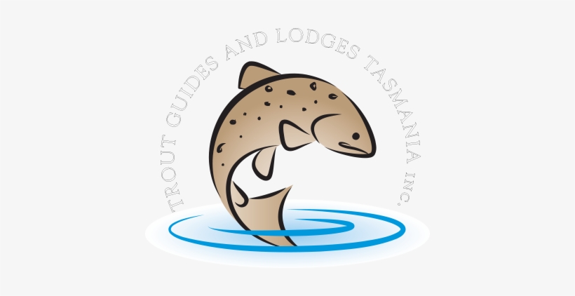 Trout Guides And Lodges Tasmania - Trout, transparent png download