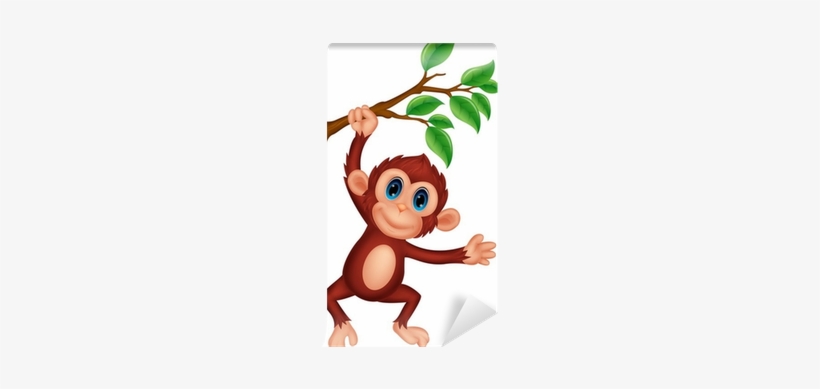 Monkey Clipart, transparent png download