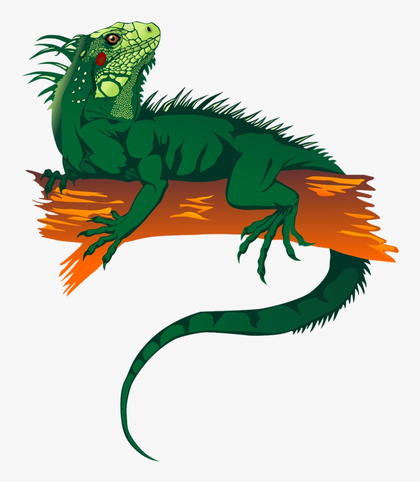 Free To Use &, Public Domain Lizards Clip Art - Iguana Clipart Png, transparent png download