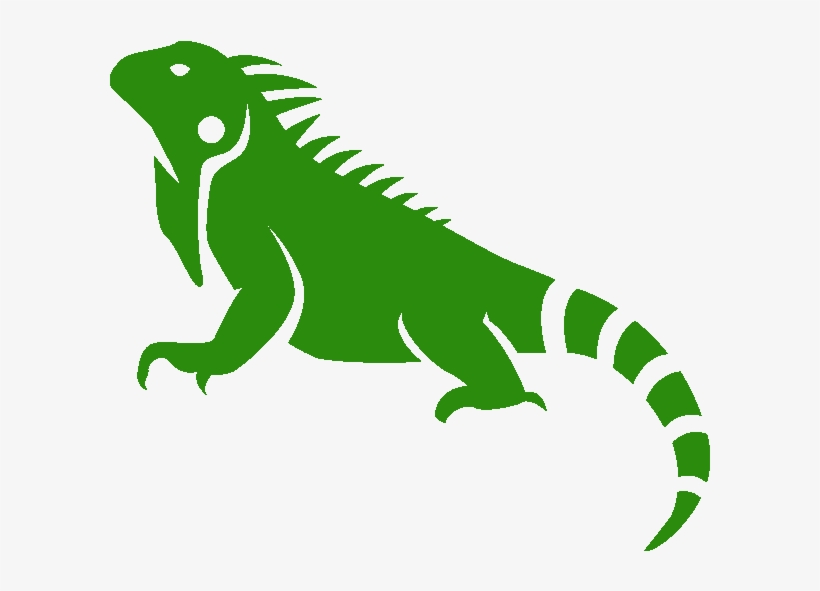 Iguana Bonaire Art - Iguana Art, transparent png download