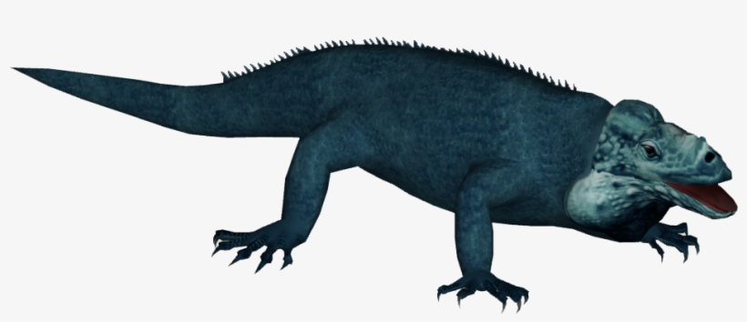 Grand Cayman Blue Iguana - Agama, transparent png download