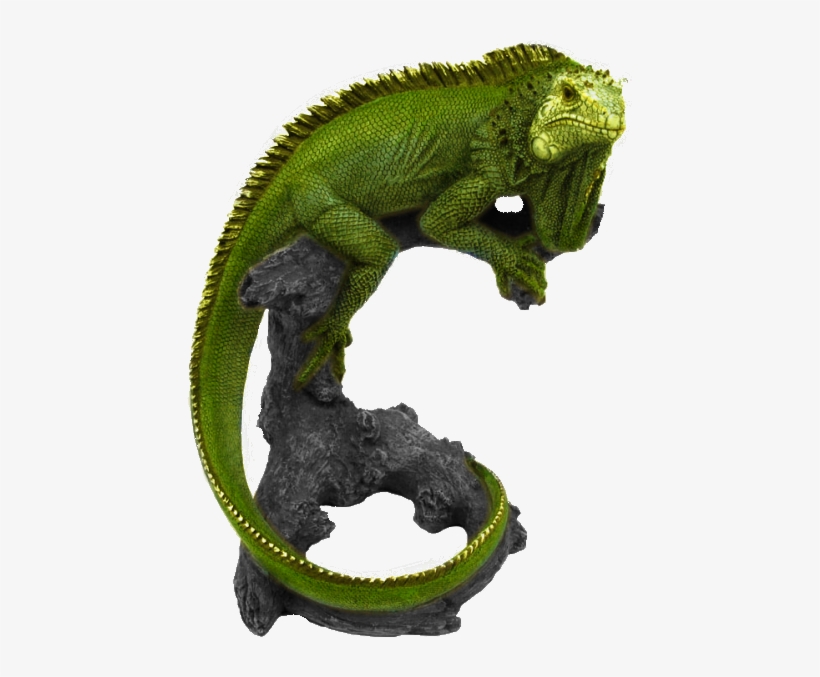 Imagenes De Iguanas Png, transparent png download