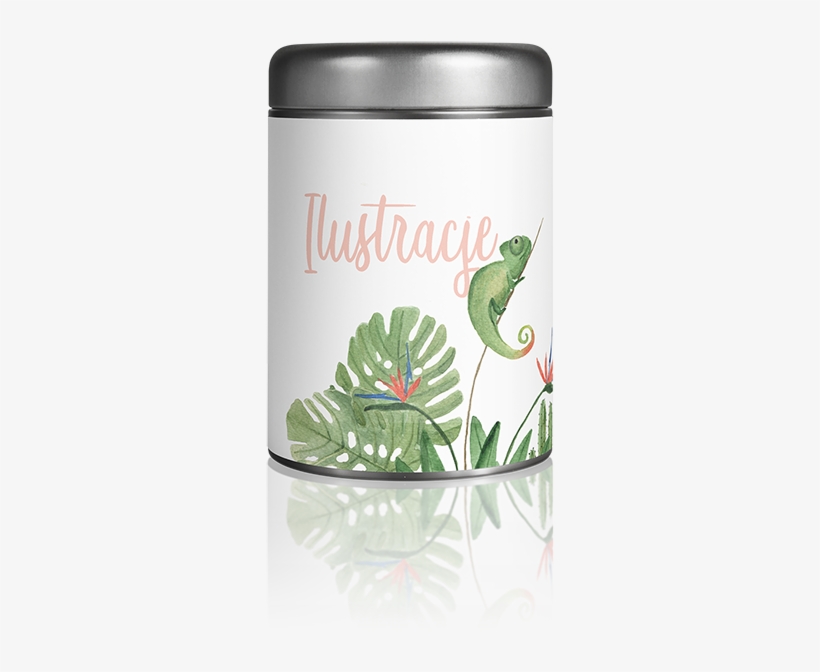 Szukaj - - Green Iguana, transparent png download