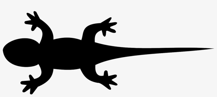 Iguana Clipart Newt - Silhouette Lizard, transparent png download