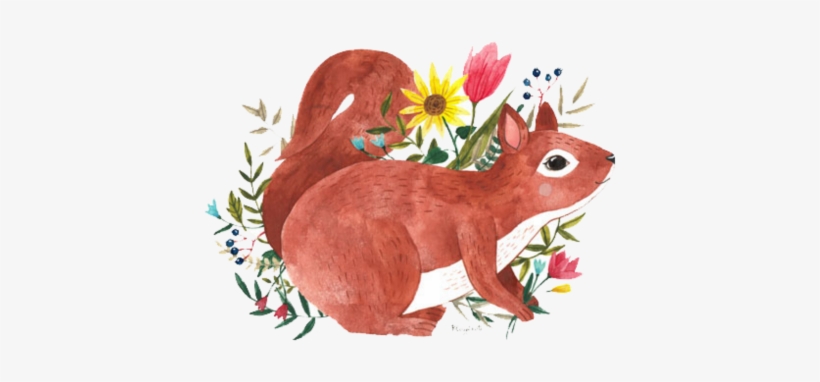 Squirrel, transparent png download