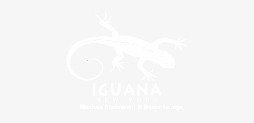 Iguana New York - New York City, transparent png download