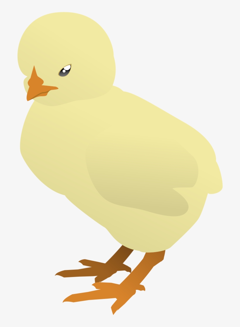 I Have Made This Baby Chicken, Trying A New Thing Using - Duck, transparent png download