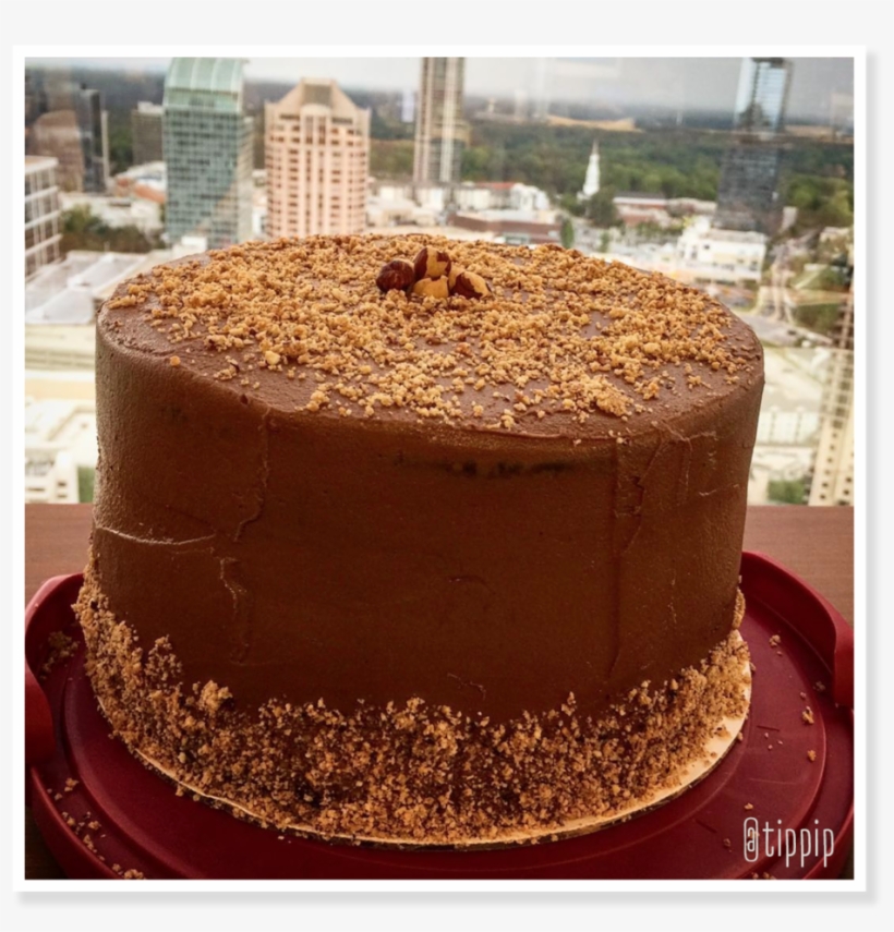 So You Can Imagine My Excitement When Tippi Came To, transparent png download