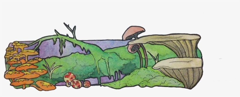 Portfolio - Cartoon, transparent png download