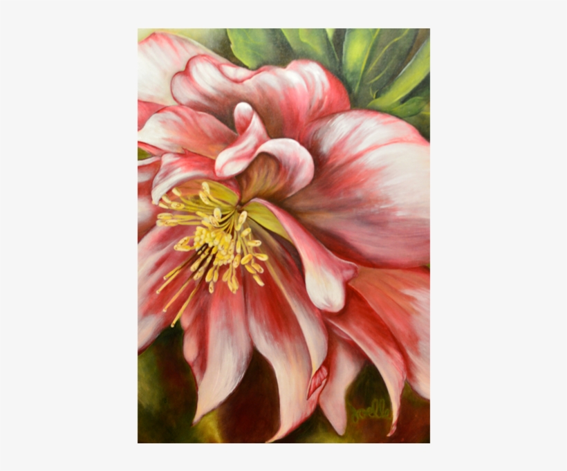 Sold - Lily, transparent png download