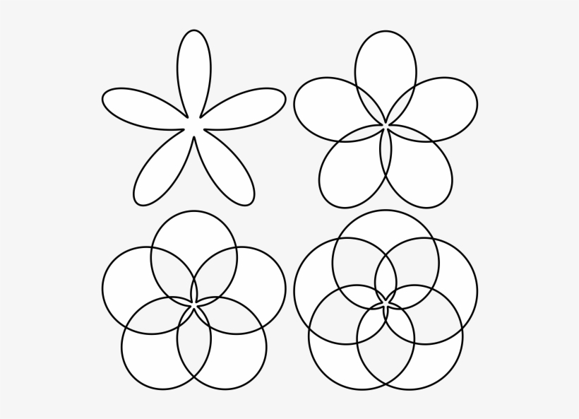 Black Flower Png - Coloring Book, transparent png download