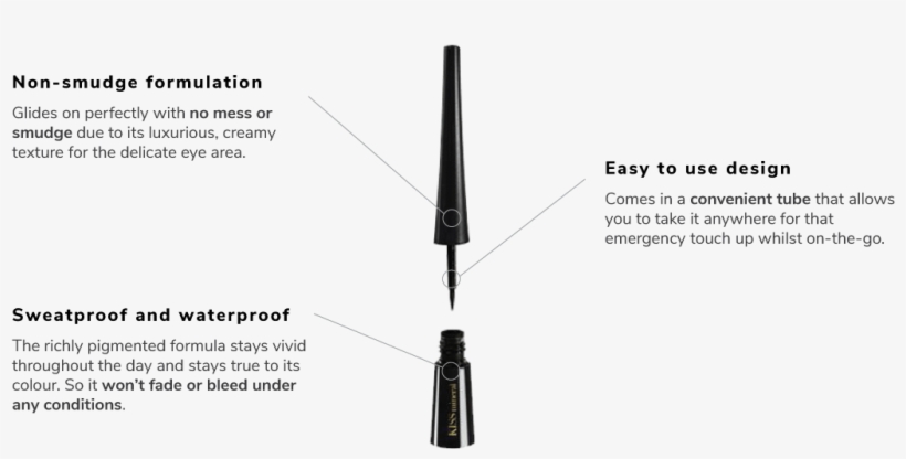 Bold Definition For The Eyes - Bamboo Fly Rod, transparent png download