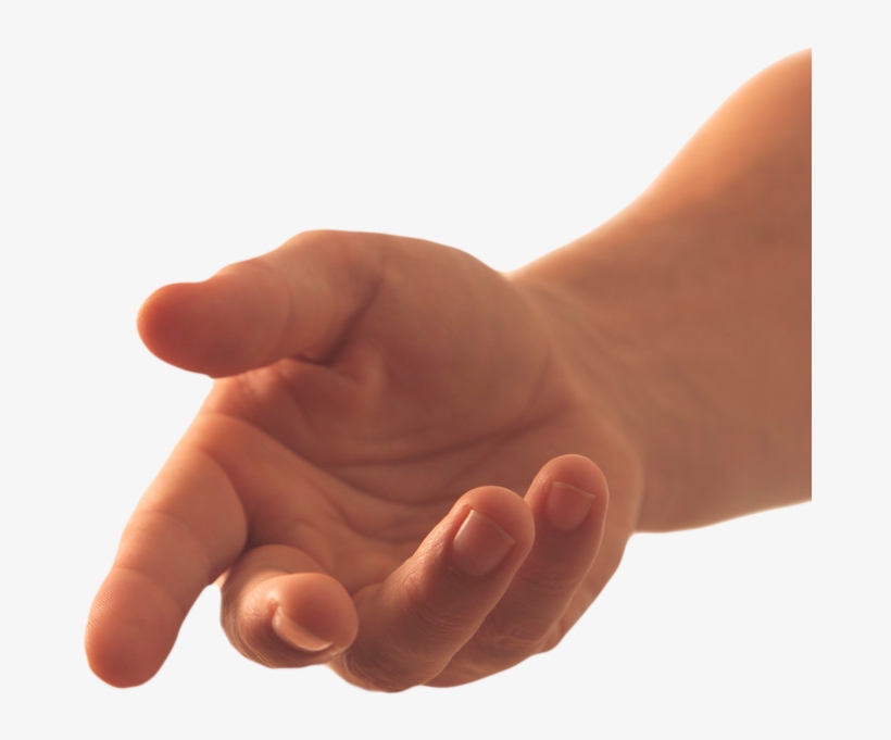 La Nostra - White Handed Gibbon Hands, transparent png download