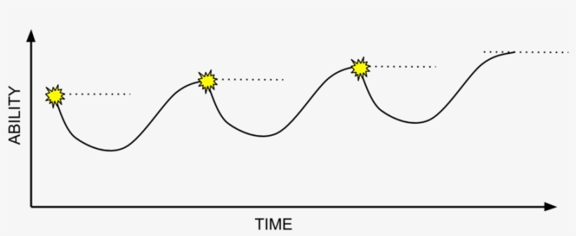 Good Stress%2frecovery Adaptation Cycle - Sunflower, transparent png download