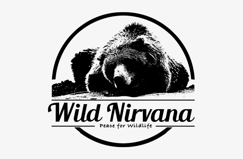 Grizzly Bear, transparent png download