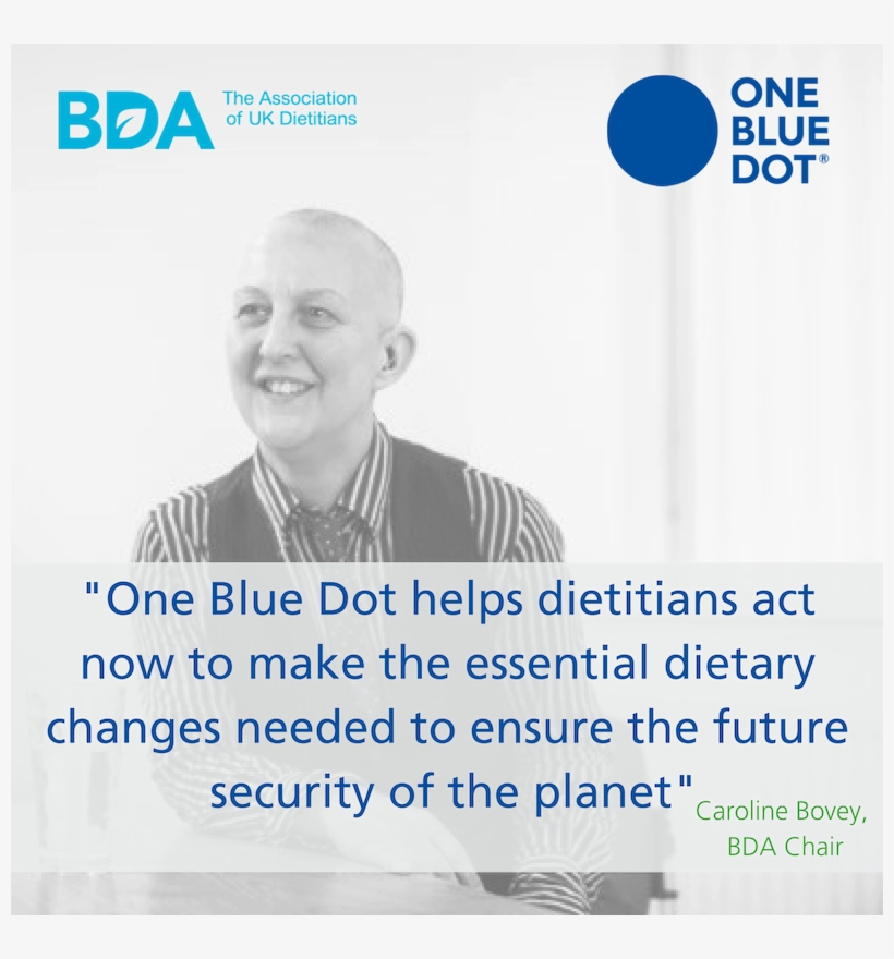 Blue Dot - Seton Healthcare Family, transparent png download