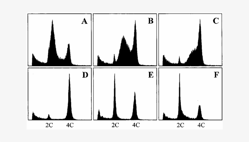 Histograms Of Nuclear Dna Content In Vicia Faba Root - Silhouette, transparent png download