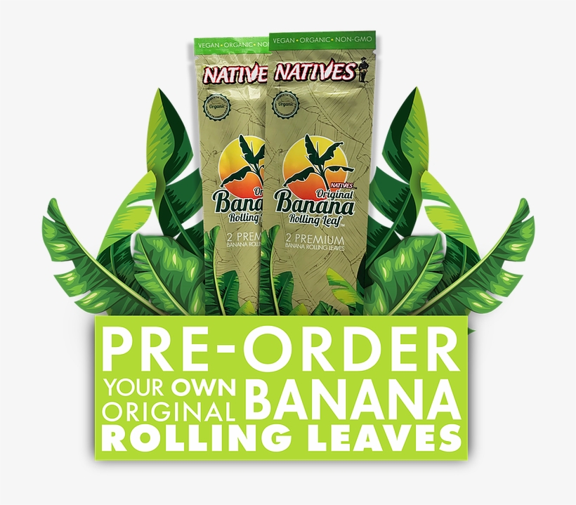 Preorder3 - Yuzu, transparent png download