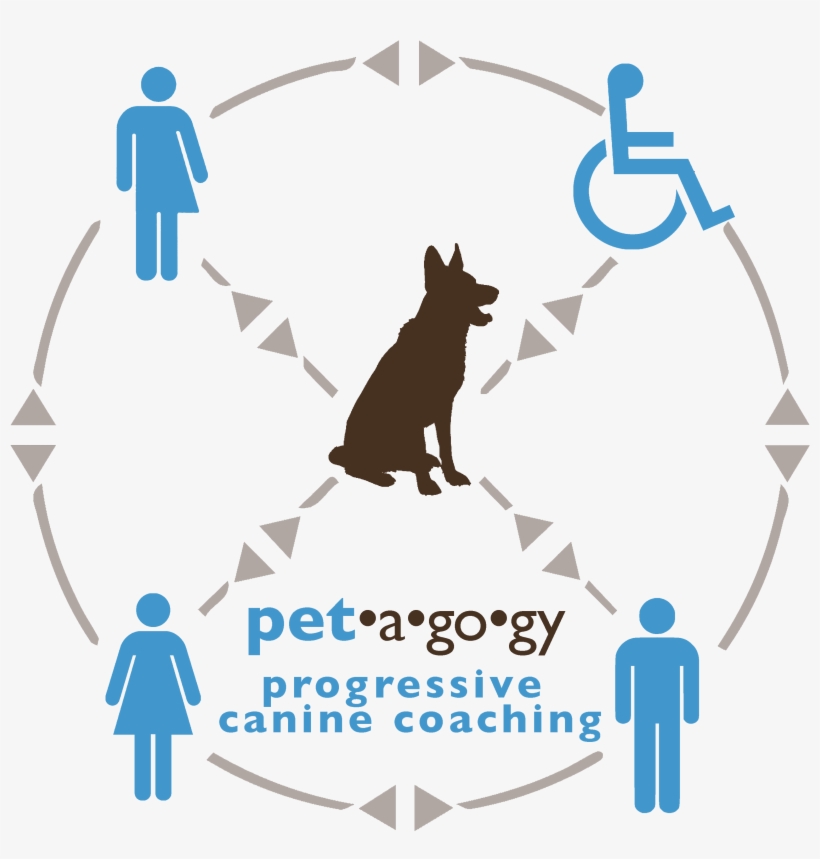 Gender Pay Gap Australia Statistics, transparent png download