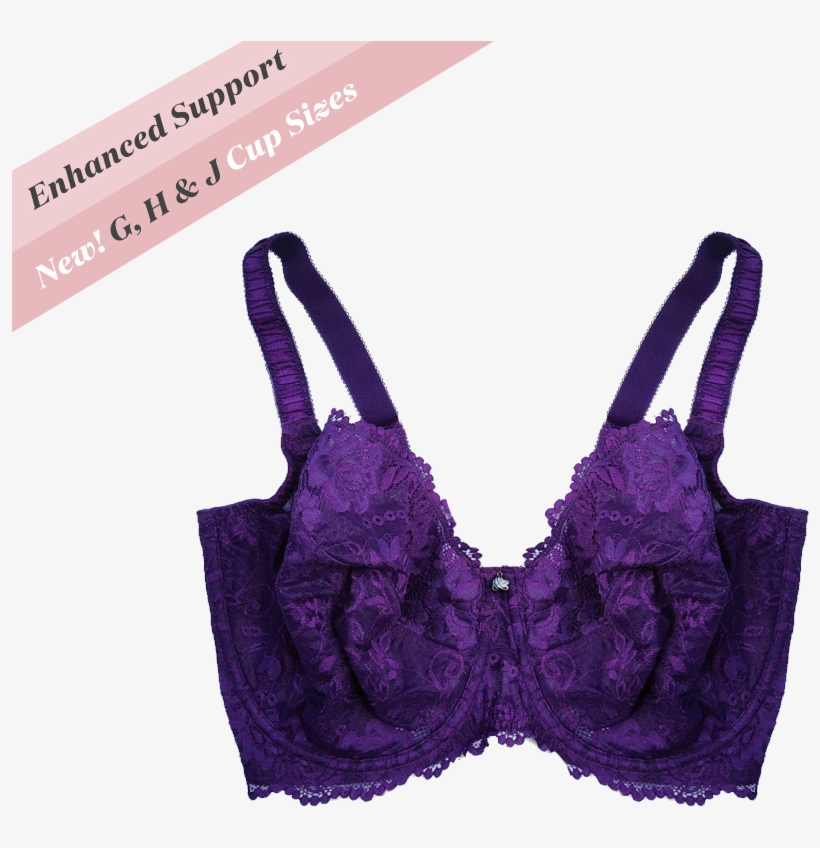 Affordable Crownjewel Enhanced Support Serena Lace - Lingerie Top, transparent png download